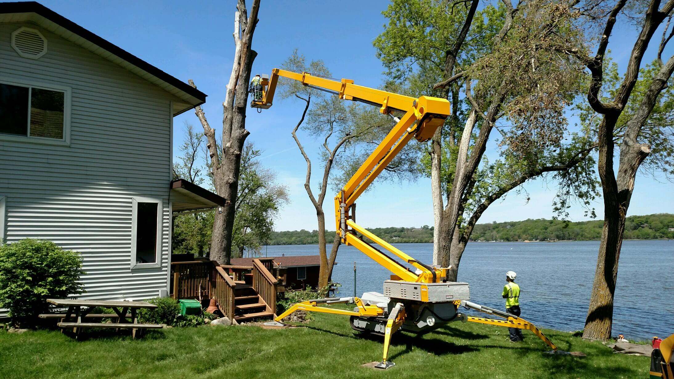 Tree service